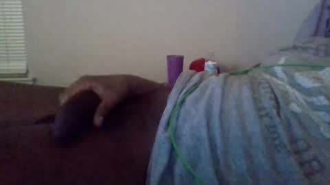 Shameak online show from 10.28.25