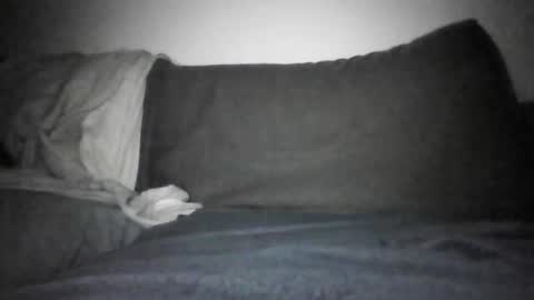 Shorty online show from 12.17.25