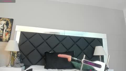 Snapshot of shammy_ross chatting on 01.17.26 Shammy Ross online show from 01.17.26