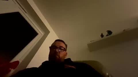 Sharksboy online show from 11.16.25