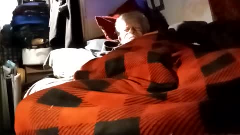 Snapshot of sharoc666 chatting on 12.04.24 Shamroc online show from 12.04.24