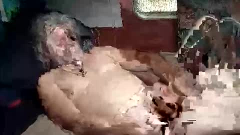 Snapshot of sharoc666 chatting on 03.05.26 Shamroc online show from 03.05.26