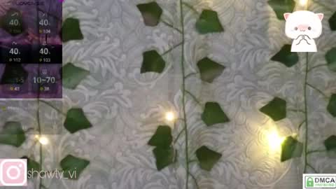 shawty_vi online show from 02.03.25