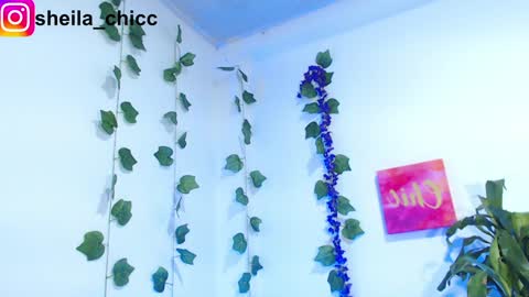 SHEILA  online show from 12.09.24