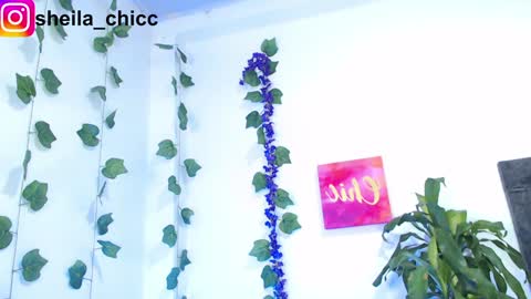 SHEILA  online show from 12.09.24