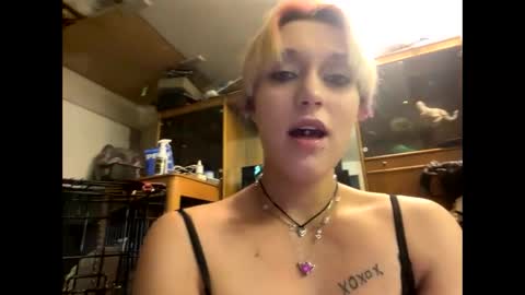 Snapshot of shelbybaby01 chatting on 12.29.24 Shelby holes online show from 12.29.24