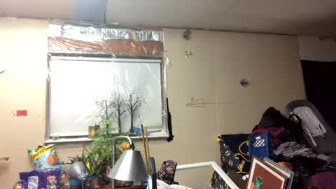 Snapshot of shelbybaby01 chatting on 03.10.25 Shelby holes online show from 03.10.25