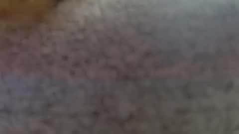 Erika online show from 02.25.25