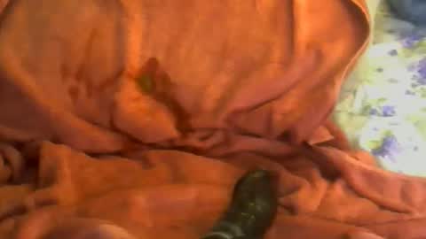 sherbearxrayghost online show from 04.07.26