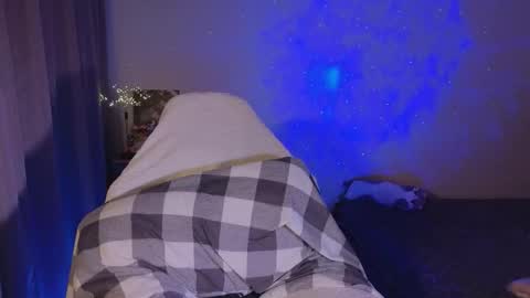 Sheyli online show from 02.01.26