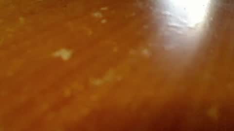 shieldmetoday online show from 02.26.26