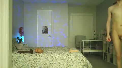 shotaroo online show from 11.22.25