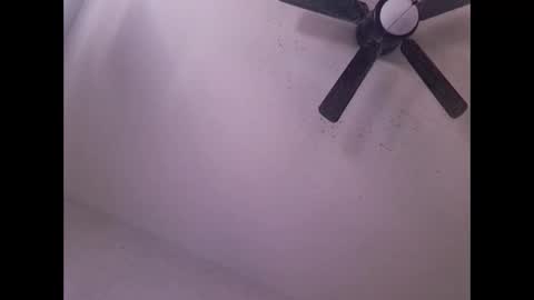 showuthed online show from 04.20.26