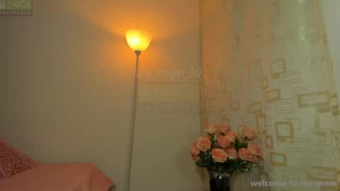Snapshot of shy_angel_30 chatting on 08.04.26 Angel online show from 08.04.26