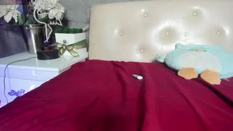 shygurl18hot online show from 02.25.25