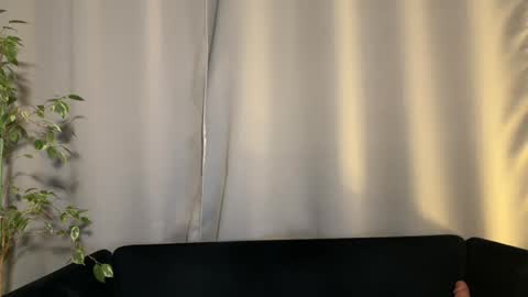 Amelia online show from 02.02.25