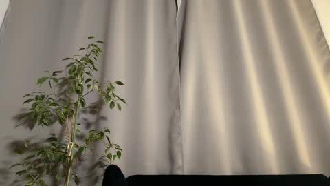 Amelia online show from 02.03.25