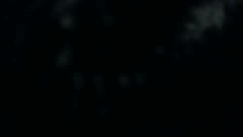 Silkey online show from 12.10.24