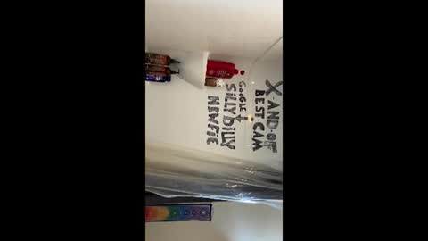 Snapshot of sillydillynewfie chatting on 06.22.26 Silly Dilly Newfie online show from 06.22.26