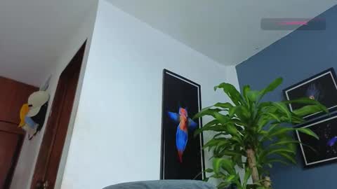 silvabranko online show from 12.18.25