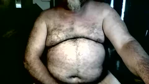 Snapshot of silverdadbod2026 chatting on 04.10.26 silverdadbod2026 online show from 04.10.26