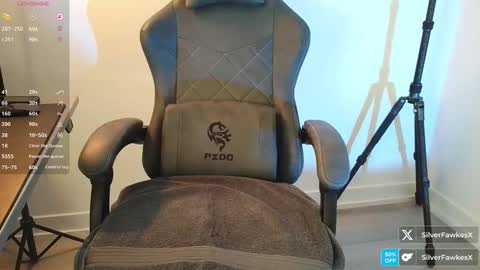 silverfawkesx online show from 03.22.26