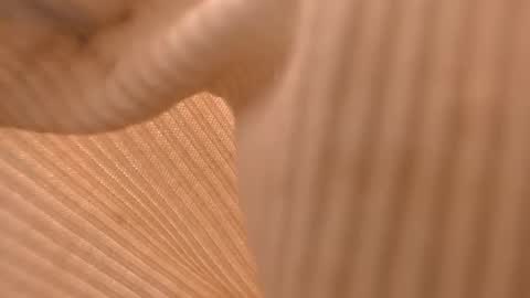 Snapshot of simple_lynx chatting on 03.11.25 L Y N online show from 03.11.25