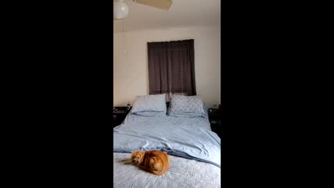 simplysarah1225 online show from 02.17.26