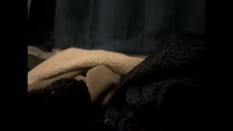 tigre online show from 02.13.25