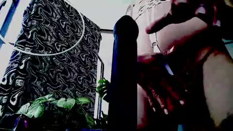 siren ika666 online show from 05.04.26