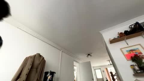 siriss_boyrag online show from 02.14.26