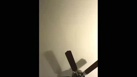 sissynovaholes online show from 01.04.25