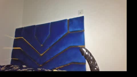 skinnyasssexyboobs online show from 03.29.26