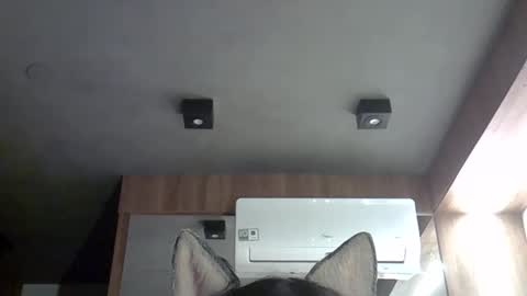 skinnykittencam online show from 09.28.25