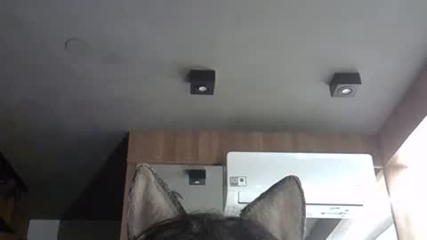 skinnykittencam online show from 11.05.25