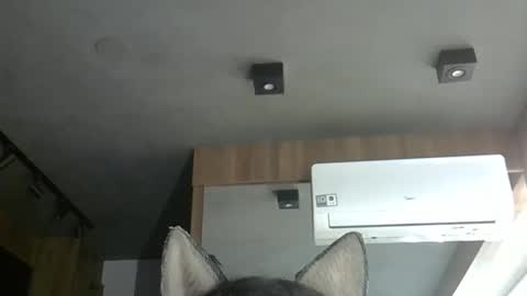 skinnykittencam online show from 11.06.25