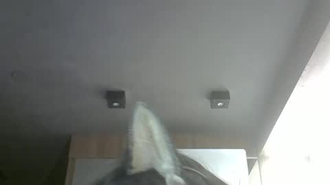 skinnykittencam online show from 03.22.26