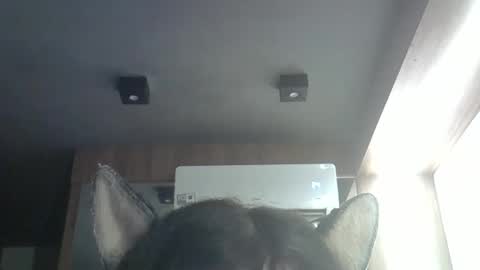 skinnykittencam online show from 04.09.26