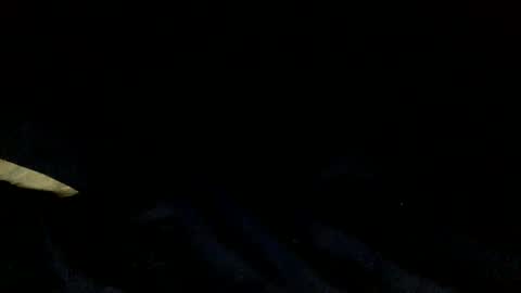 skinnypole6 online show from 12.04.24