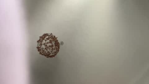 skuzzy25 online show from 03.03.25