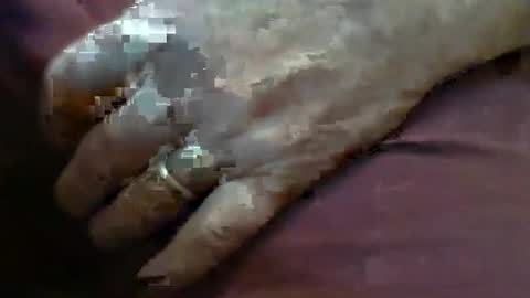 Snapshot of skypylot chatting on 02.04.26 ResqPylot2 online show from 02.04.26