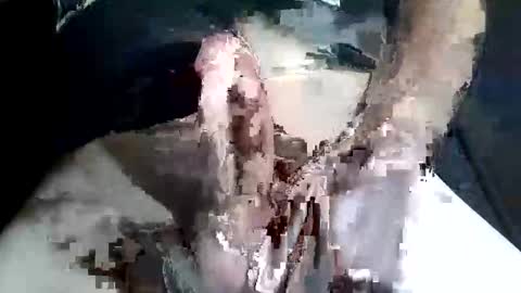 Z online show from 11.02.25