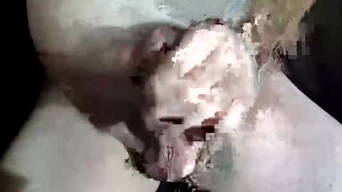 Z online show from 12.02.25