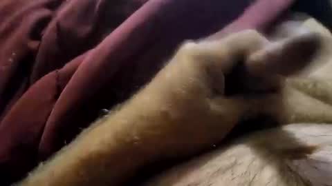 slitlicke69696969 online show from 09.19.25