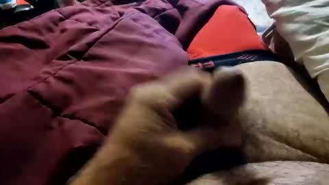 slitlicke69696969 online show from 10.20.25