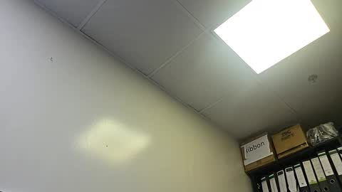 slothslav online show from 10.28.25