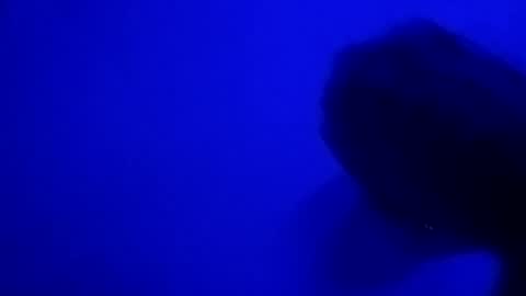 Snapshot of sluttyslut123797367 chatting on 06.28.26 Nastyguurl online show from 06.28.26