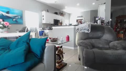 Snapshot of smallpenisbigtongue chatting on 12.15.24 Daddy online show from 12.15.24