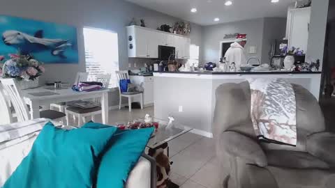 Snapshot of smallpenisbigtongue chatting on 12.25.24 Daddy online show from 12.25.24