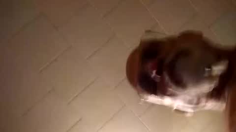 Smithology online show from 12.19.24